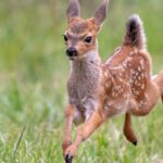 Rücksichtsvoll in der Natur